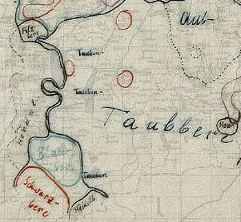 Extract from Kranzmayer-Map „Heidelbeere” 