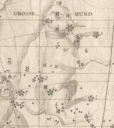 Sternbild Canis Major: Aus dem Sternatlas von Johann Elert Bode von 1782n Elert Bode von 1782